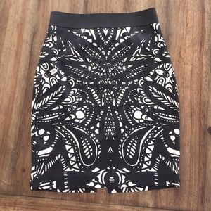 Express Pencil Skirt